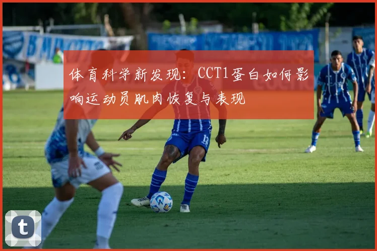 体育科学新发现：CCT1蛋白如何影响运动员肌肉恢复与表现