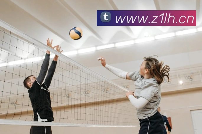 多媒体互动体验